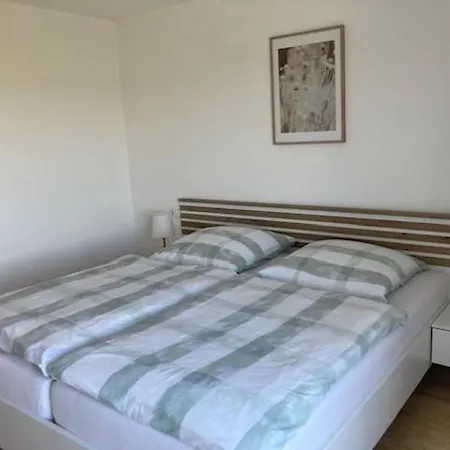 Apartament Schele