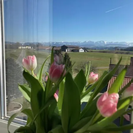 Schele Apartament *