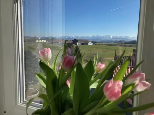 Schele Διαμέρισμα *